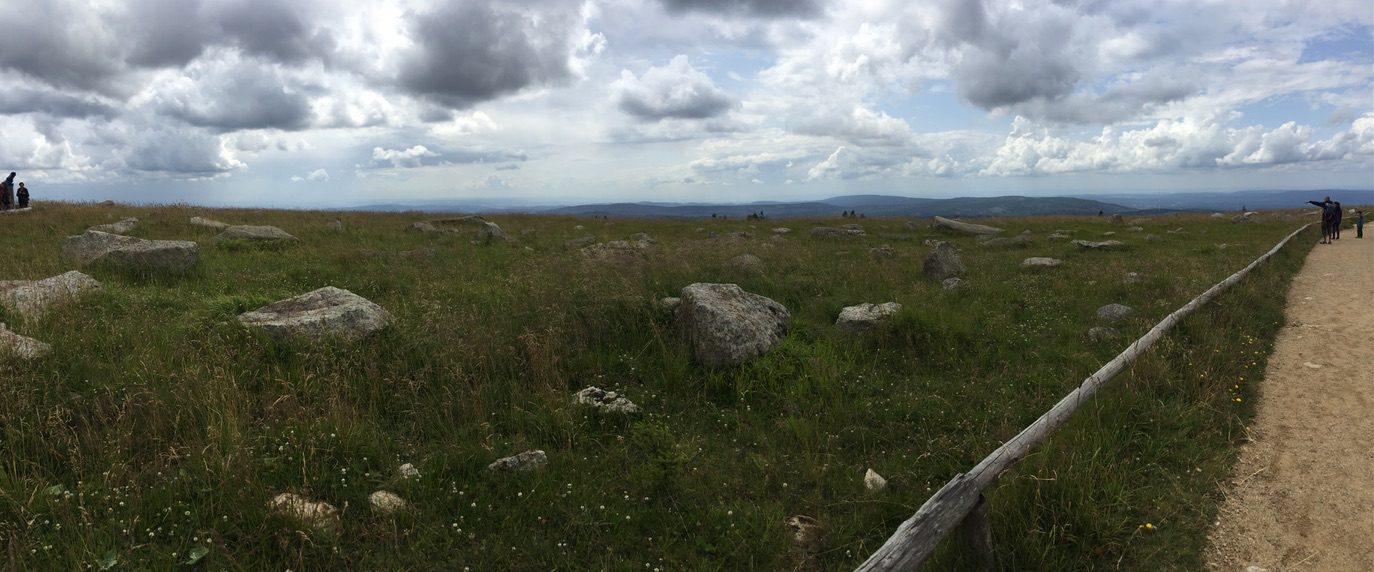 Brocken: Grasfläche mit Steinen auf dem Gipfelplateau unter Wolkenhimmel