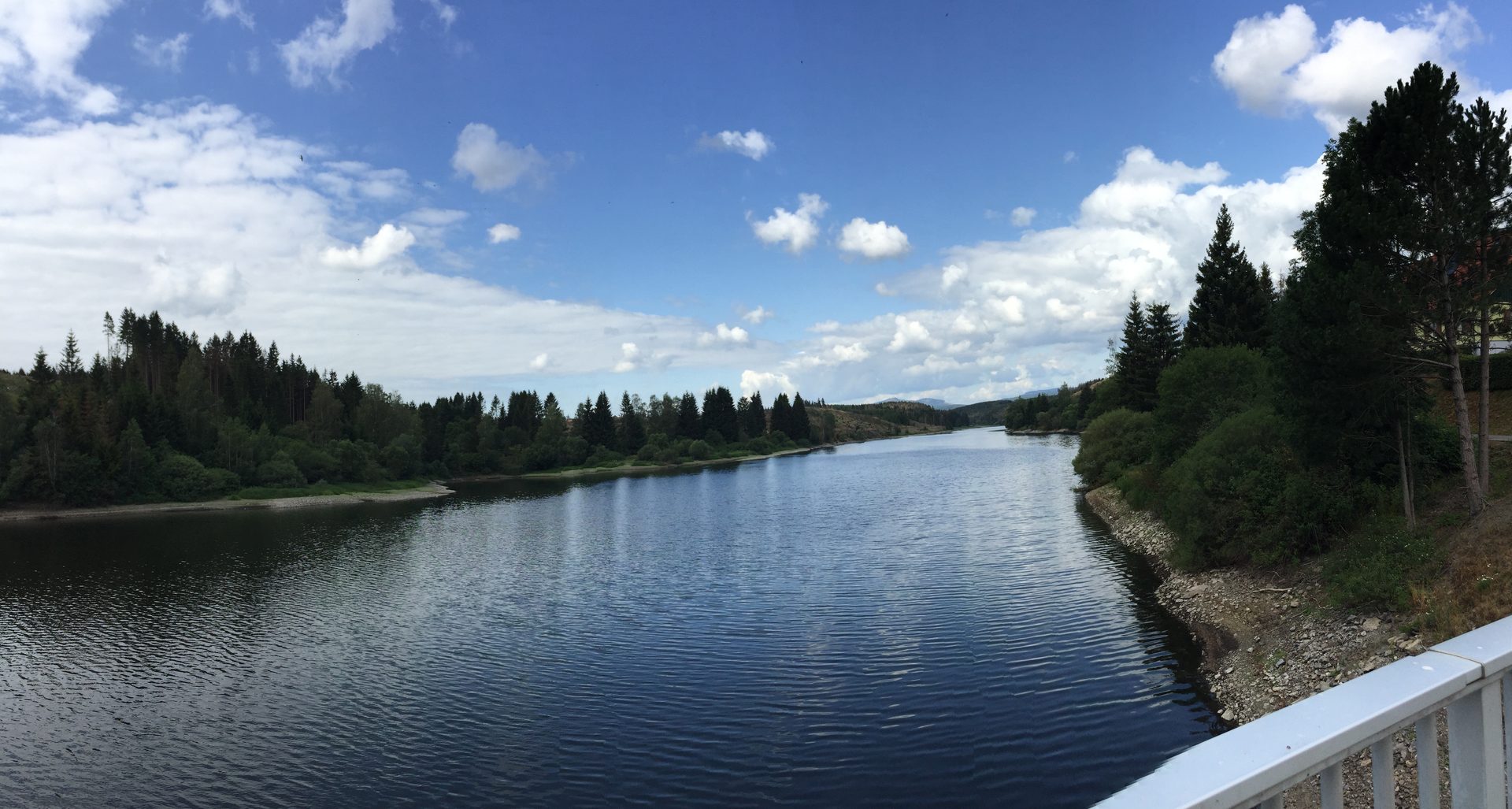 Harz zwischen Königshütte und Rappbodetalsperre: Stausee mit Nadelwald unter blauem Himmel