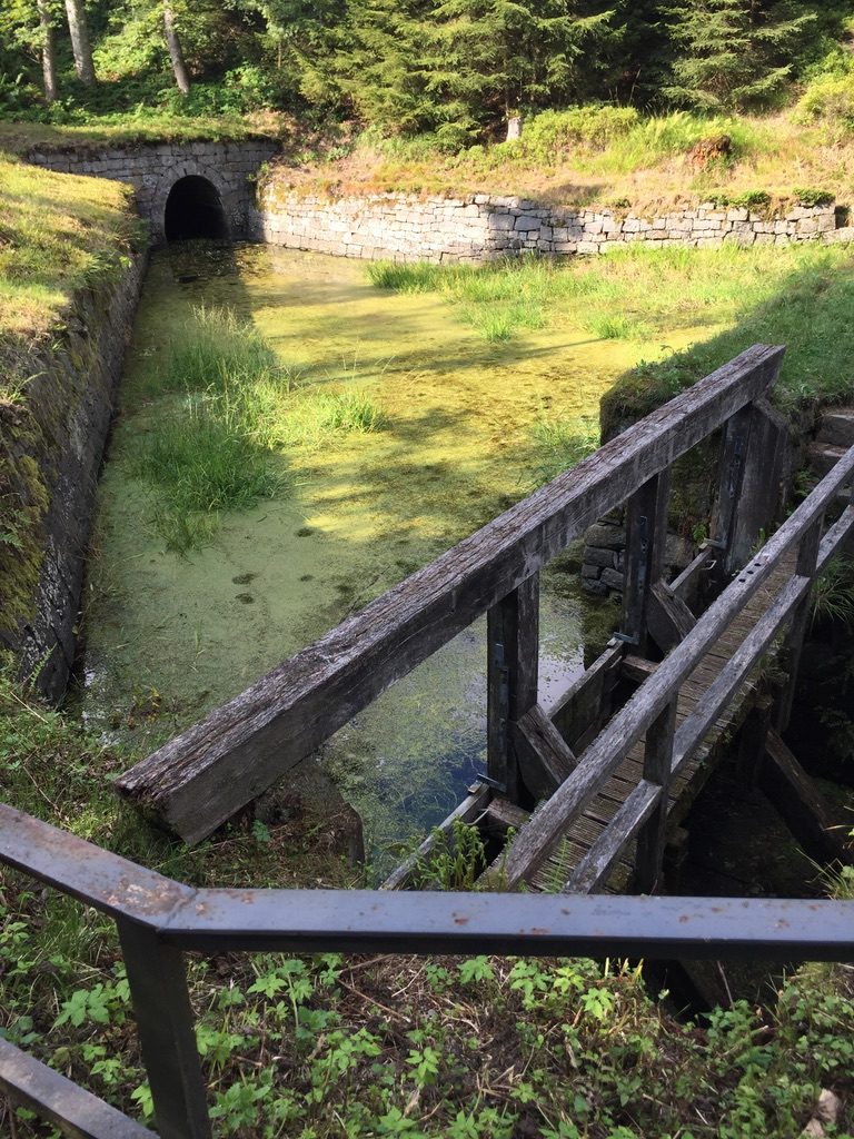 Oberharz zwischen Buntenbock und Altenau: gemauerter Wassergraben mit Holzsteg und Tunnelöffnung