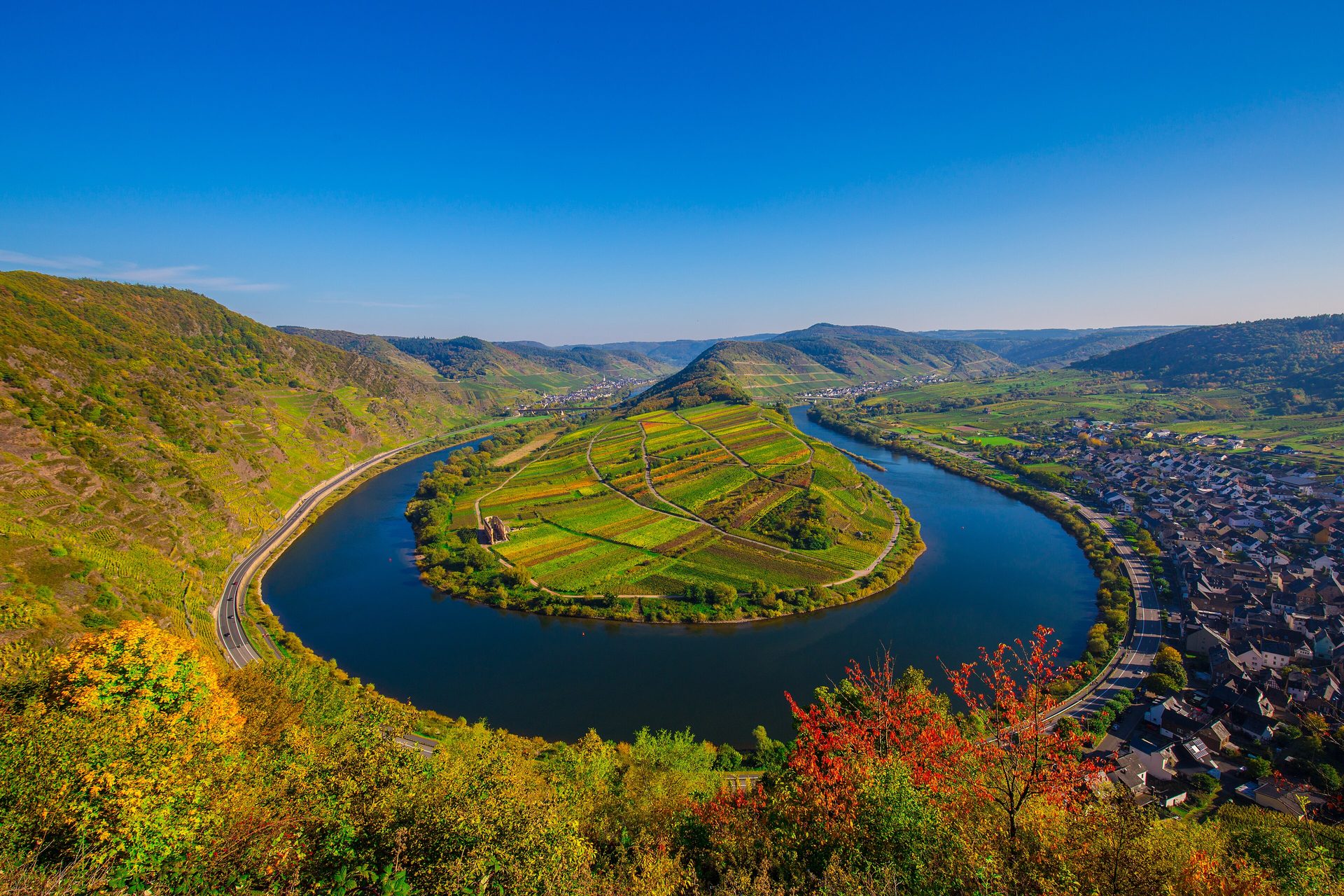 Moselsteig an der Bremmer Moselschleife: Weinberge und Klosterruine Stuben auf der Landzunge, rechts Bremm
