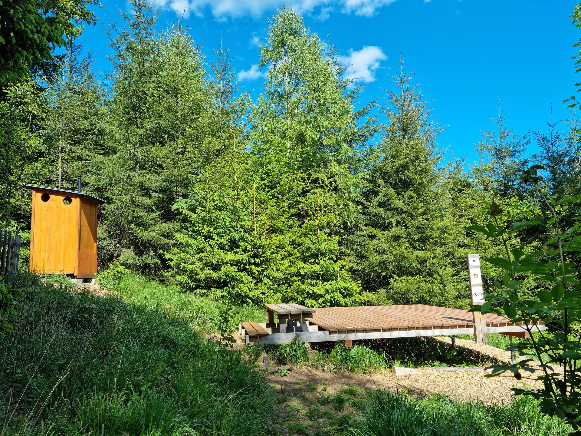 Trekkingplatz Feuereiche bei Brilon: Holzplattform für Zelte mit Tisch und Bank, daneben ein Holzhäuschen im Fichtenwald