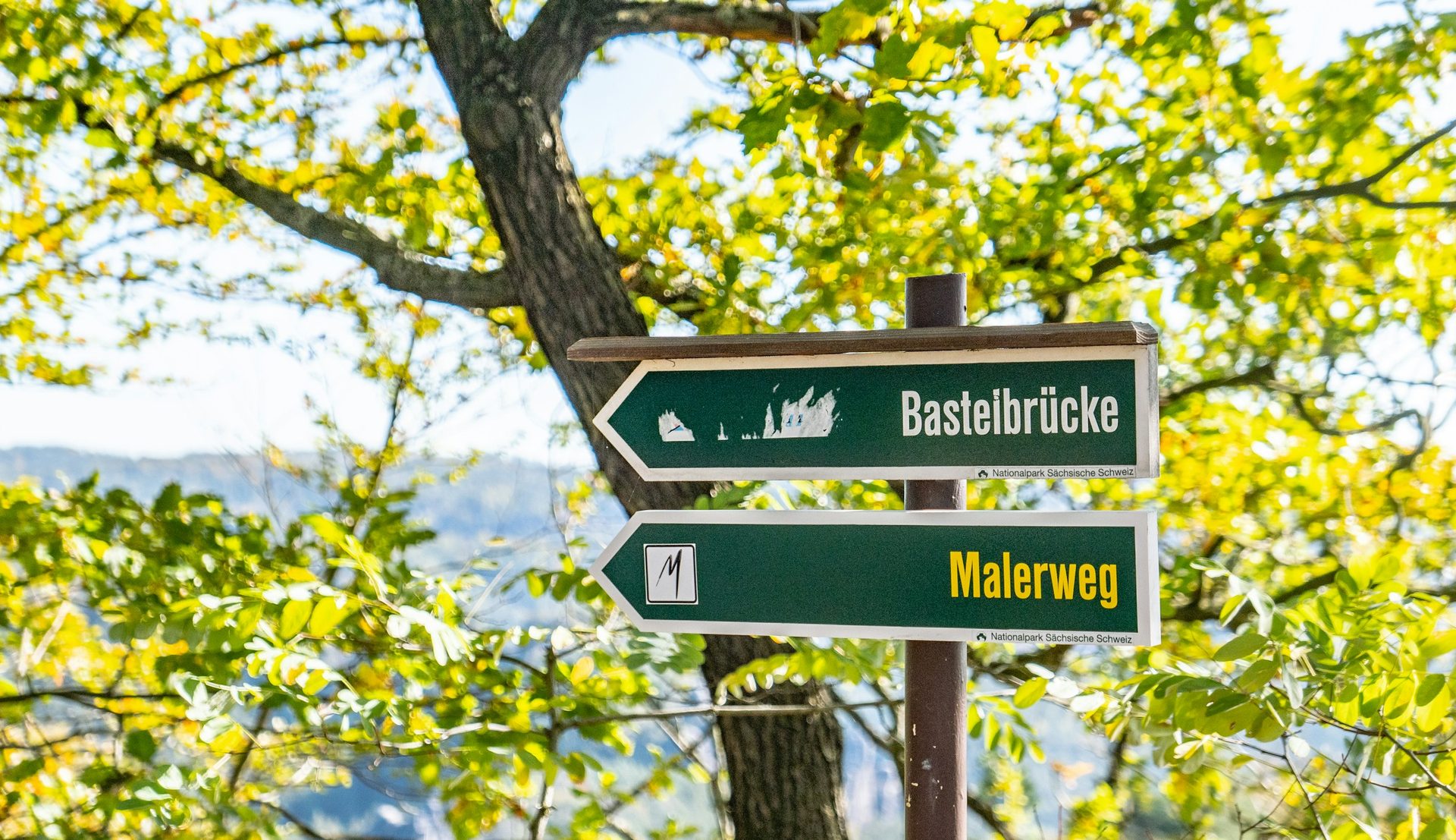 Sächsische Schweiz: Wegweiser zur Basteibrücke und zum Malerweg vor einem sonnigen Laubbaum